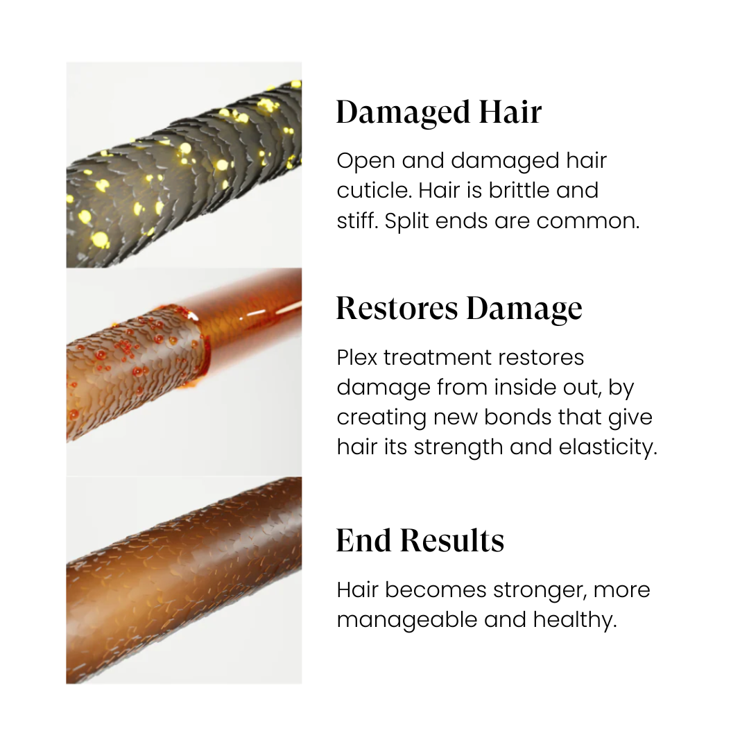 Repair & Restore Plex Treatment