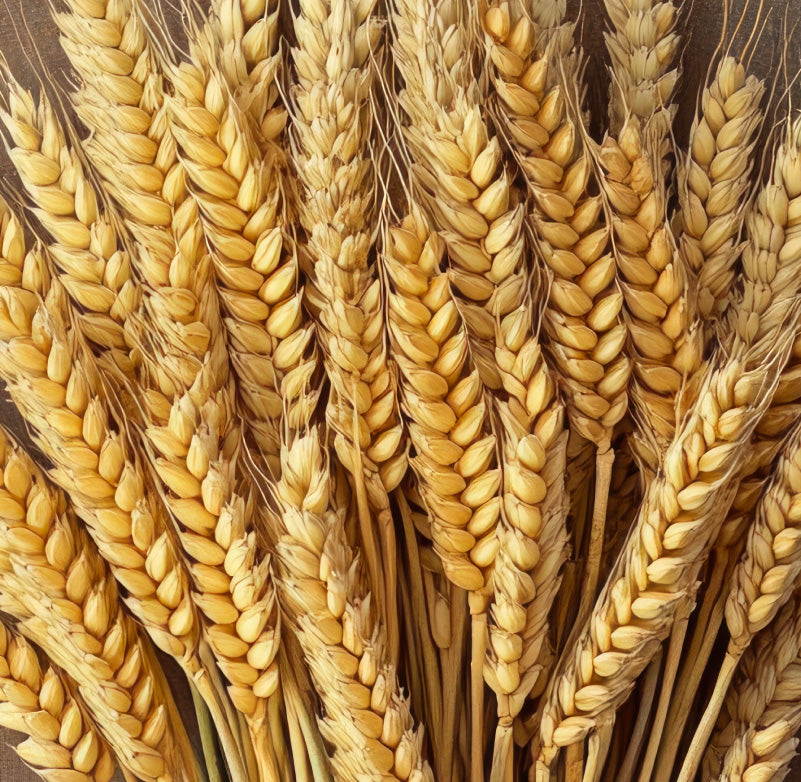 Hydrolysed wheat protein